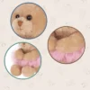 Bearington Bella Plush Ballerina Stuffed Animal Teddy Bear, 6 Inch -Best Toy Store GUEST 127dba5d 7192 483e 9e9a 77d2237374bf