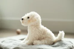 Bearington Bisquit Plush Labradoodle Stuffed Animal Puppy Dog, 13 Inch -Best Toy Store GUEST 1856828c 3f84 4f70 83f2 c40e01d9277a