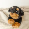 Bearington Rottweiler Dog Stuffed Animal: Black And Tan Plush Fur 15 Inches 2 Bearington Rottweiler Dog Stuffed Animal: Black And Tan Plush Fur 15 Inches -Best Toy Store GUEST 26f016ae 263c 41bd b165 9079ef6e3b91