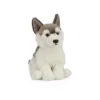 Living Nature Husky Plush Toy -Best Toy Store GUEST 35855866 0fd4 4738 bc6a f680ebd3b2a7