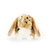 Living Nature Brown Dutch Lop Ear Plush Toy -Best Toy Store GUEST 363d8cdc 6b9e 4d99 b816 4c44236eac84