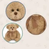 Bearington Baby Bensen Brown Plush Stuffed Animal Teddy Bear, 10 Inches -Best Toy Store GUEST 41d0889d 8098 452a 9645 a78f70bc49b0