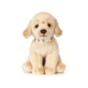 Living Nature Giant Golden Lab Puppy Plush Toy -Best Toy Store GUEST 425c1b70 4bf7 4f8b b39d a8affbca6fa7