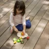 Plantoys| Assorted Fruit Set