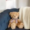 Bearington Theodore Brown Plush Stuffed Animal Teddy Bear, 17 Inches -Best Toy Store GUEST 7bf3c423 ffa9 4802 b91d f6f11d0d9f88