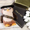 Blue Panda Class Of 2023 Graduation Owl Plush, Stuffed Animal Gift With Glasses & Grad Cap, Brown, 9.2 In 2 Blue Panda Class Of 2023 Graduation Owl Plush, Stuffed Animal Gift With Glasses & Grad Cap, Brown, 9.2 In -Best Toy Store GUEST b46ddeb4 ef51 4e93 9586 2e1cbfd3674d