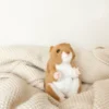 Bearington Cheeks Stuffed Hamster: Adorable Plush Stuffed Hammy, Ultra-Soft 6 Toy -Best Toy Store GUEST ced1ba07 a5c6 4873 a492 8bb592b58c09
