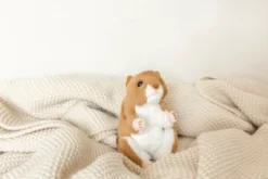 Bearington Cheeks Stuffed Hamster: Adorable Plush Stuffed Hammy, Ultra-Soft 6 Toy