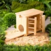 HearthSong Wooden Chicken Coop With Real Working Doors And Ramp For Imaginative Play, Measures 9_"L X 5_"W X 8"H -Best Toy Store GUEST d360aa1c f2d1 428b bf0a 7ff6ad4690a4 1
