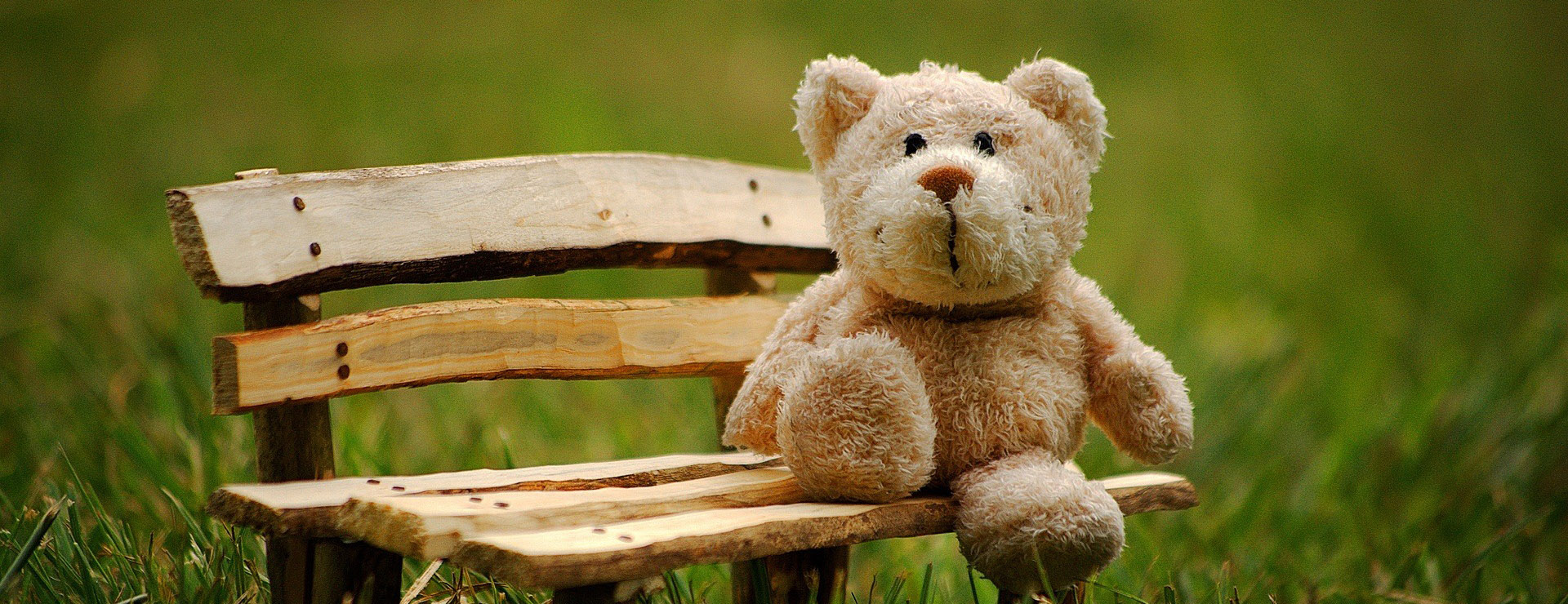 Best Toy Store 1 Best Toy Store -Best Toy Store teddy 2977694 1920